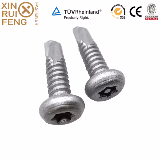 Vis autoperceuse à tête cylindrique Torx duplex 2205 attaches anti